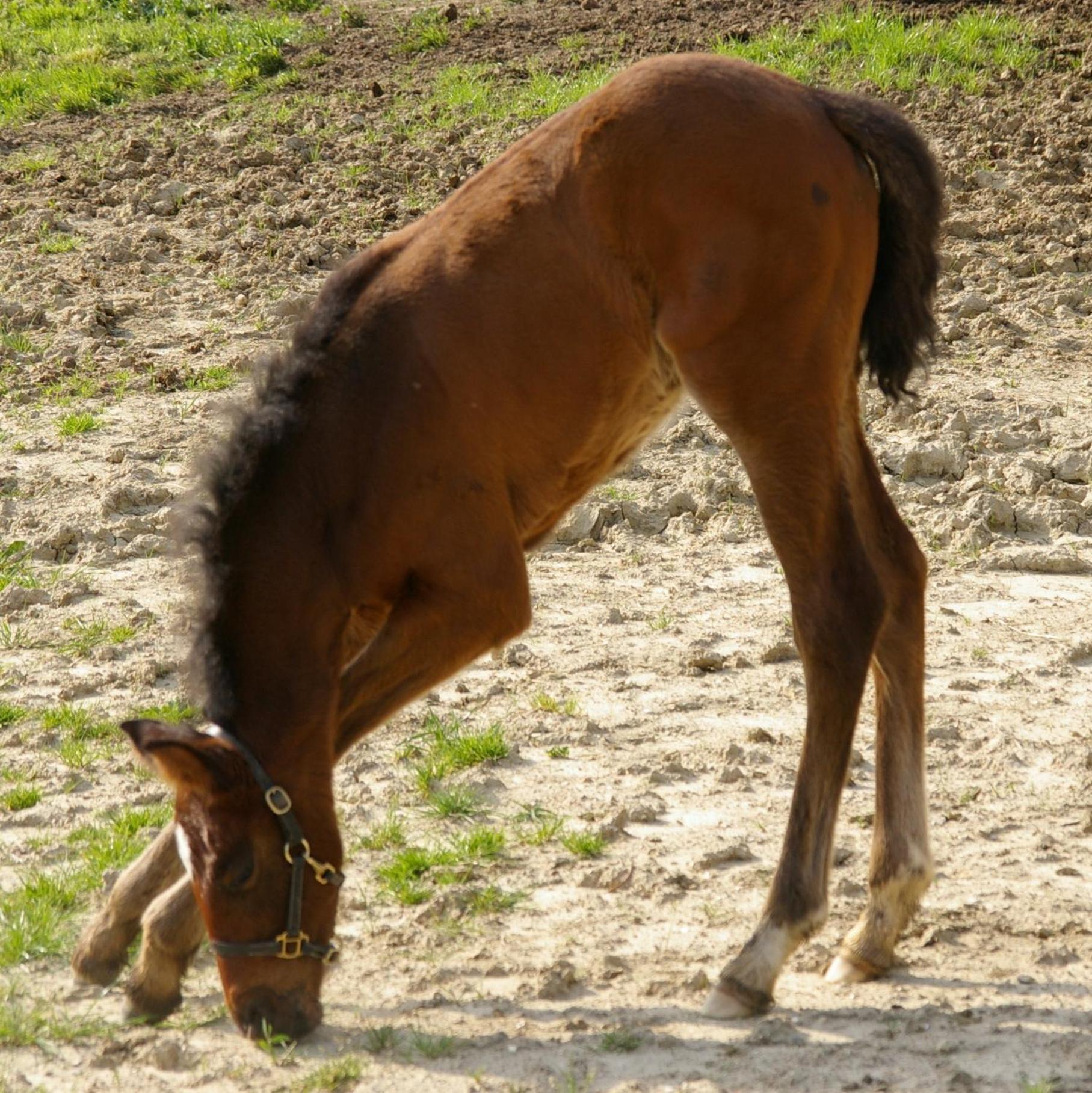 Santa Maria a Poneta Villa Barberino Val d'Elsa Bagian luar foto